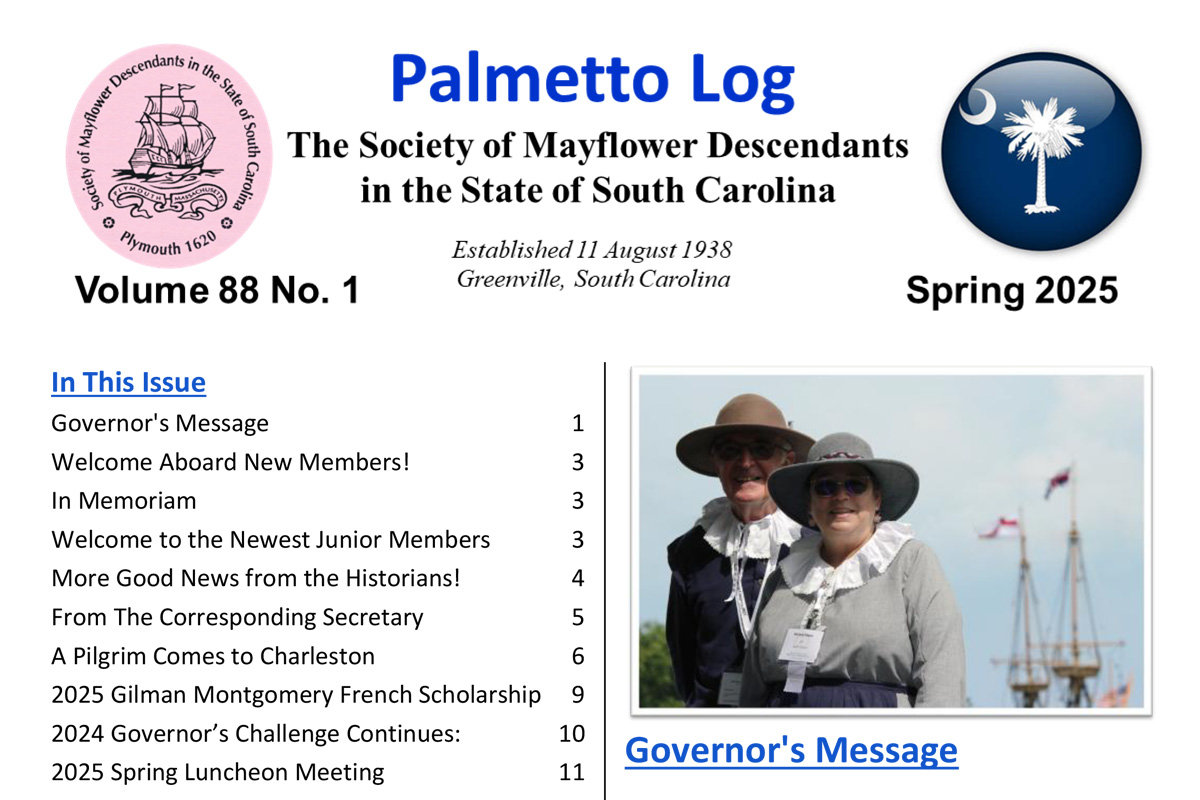 Palmetto Log Fall 2024